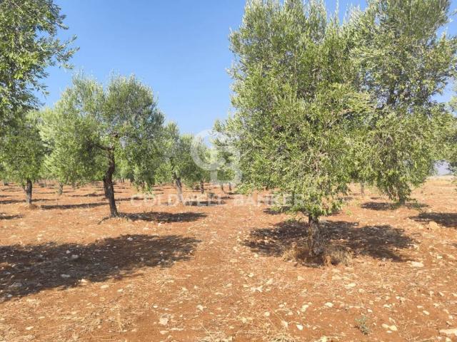 Terreno in vendita a Taranto