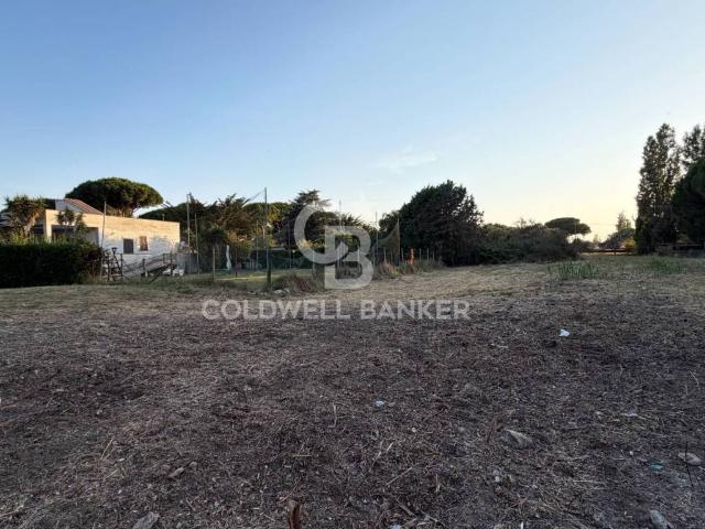 Terreno in vendita a Tarquinia, Lazio