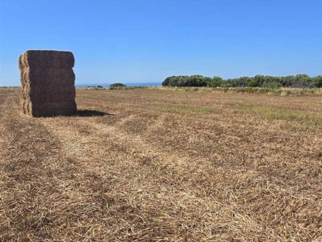 Terreno in vendita a Tarquinia, Lazio