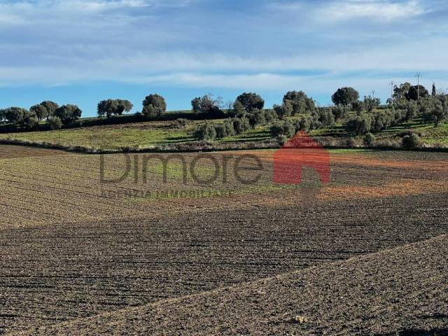 Terreno in vendita a Tarquinia, Lazio