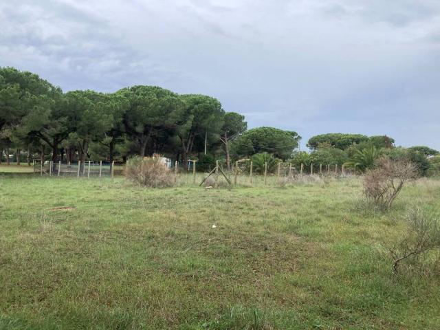 Terreno in vendita a Saline di Tarquinia, Tarquinia