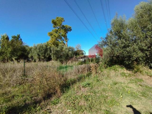 Terreno in vendita a Tarquinia, Lazio
