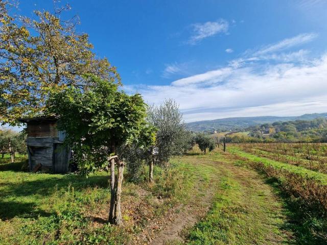 Terreno in vendita a Taurasi, Campania