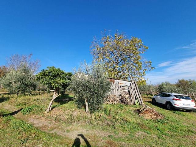 Terreno in vendita a Taurasi, Campania