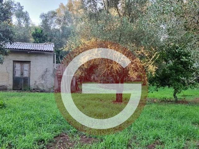 Terreno in vendita a Calabria, Reggio Calabria