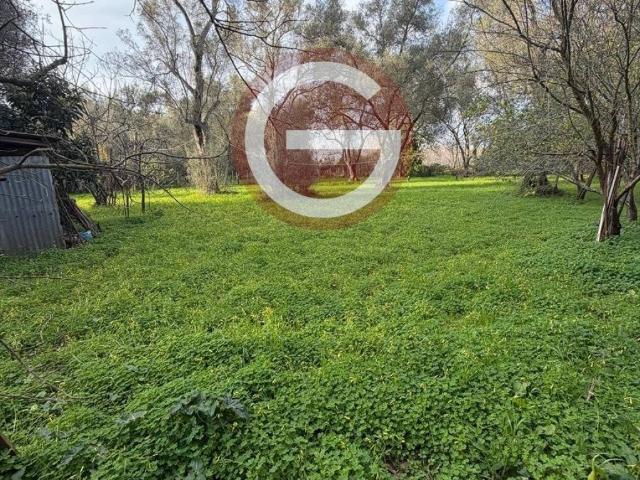 Terreno in vendita a Calabria, Reggio Calabria