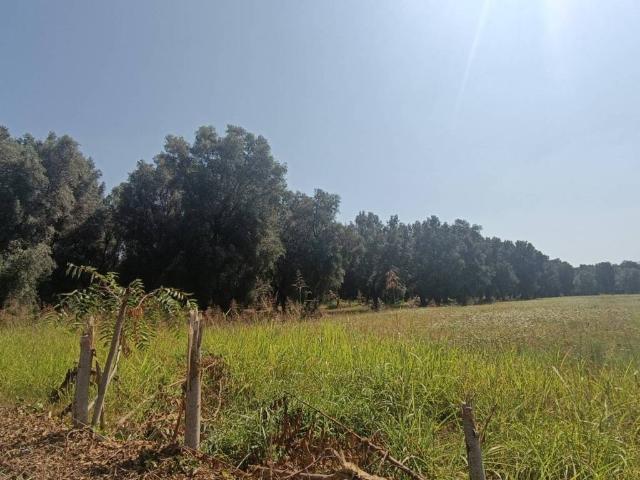 Terreno in vendita a Calabria, Reggio Calabria