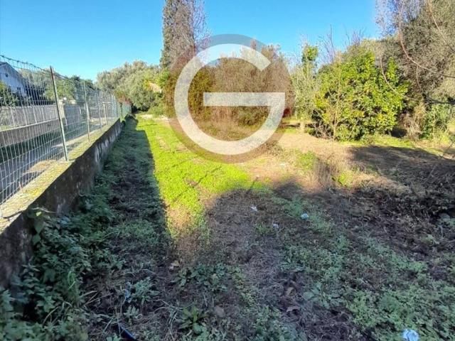 Terreno in vendita a Calabria, Reggio Calabria