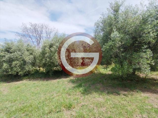 Terreno in vendita a Calabria, Reggio Calabria