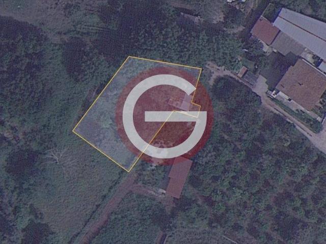 Terreno in vendita a Calabria, Reggio Calabria
