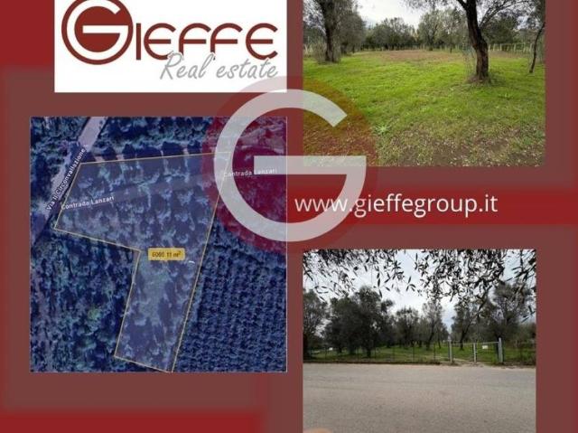 Terreno in vendita a Calabria, Reggio Calabria