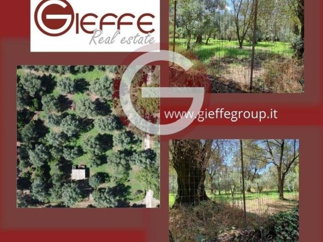 Terreno in vendita a Calabria, Reggio Calabria