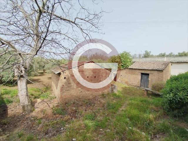 Terreno in vendita a Calabria, Reggio Calabria