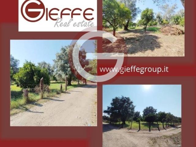 Terreno in vendita a Calabria, Reggio Calabria