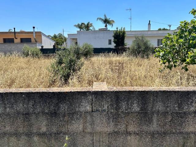 Terreno in vendita a Puglia, Lecce