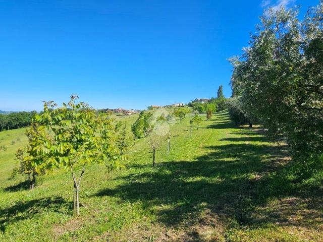 Terreno in vendita a Marche, Pesaro E Urbino