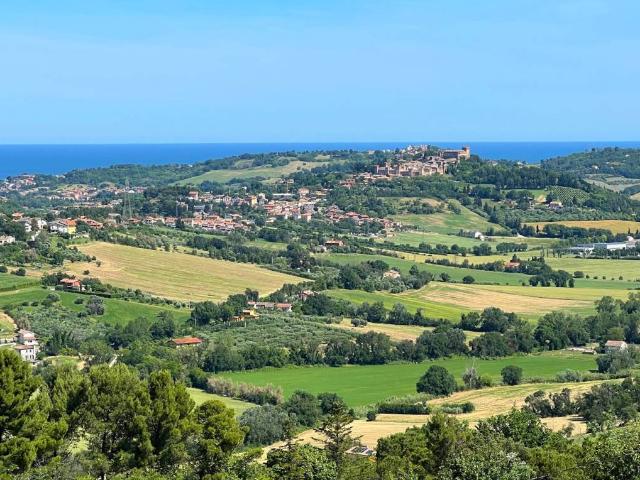 Terreno in vendita a Monteluro, Tavullia