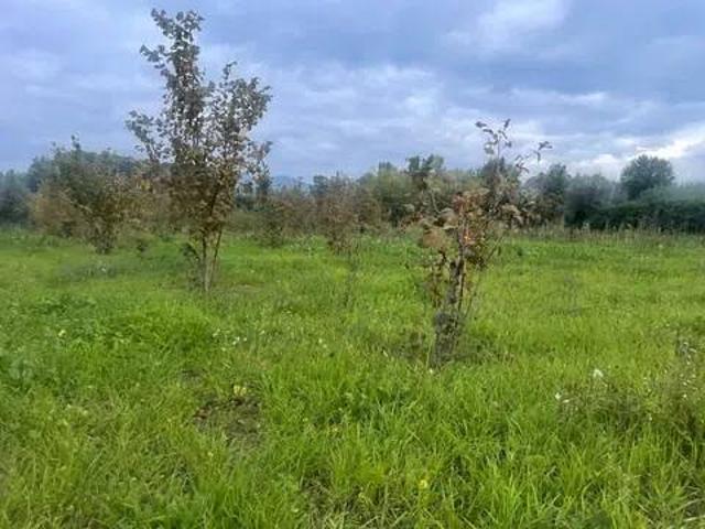 Terreno in vendita a Teano, Campania