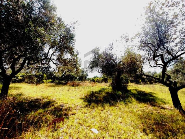 Terreno in vendita a Telese Terme, Campania