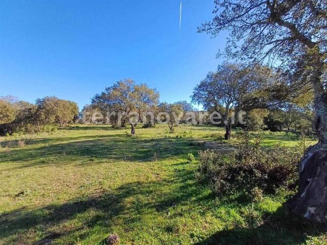 Terreno in vendita a Telti, Sardigna/Sardegna