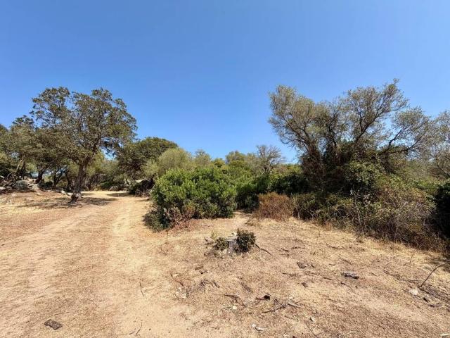 Terreno in vendita a Telti, Sardigna/Sardegna