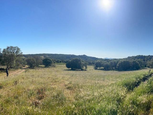 Terreno in vendita a Telti, Sardigna/Sardegna