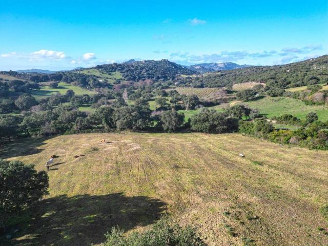 Terreno in vendita a Telti, Sardigna/Sardegna