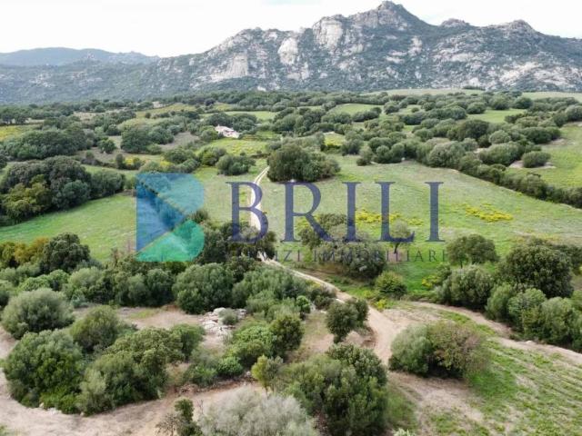 Terreno in vendita a Telti, Sardigna/Sardegna