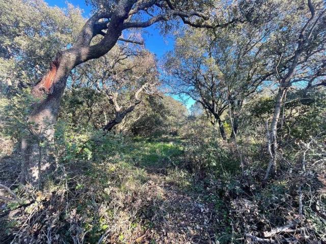 Terreno in vendita a Telti, Sardigna/Sardegna
