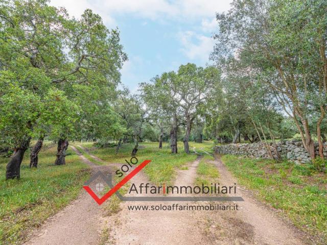 Terreno in vendita a Telti, Sassari