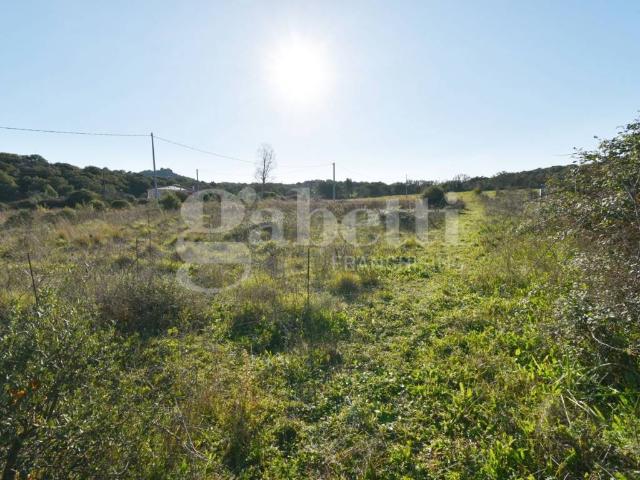 Terreno in vendita a Telti, Sardigna/Sardegna