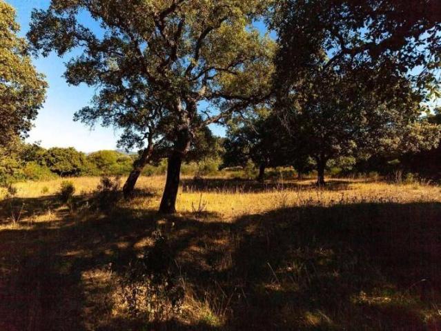 Terreno in vendita a Telti, Sardigna/Sardegna