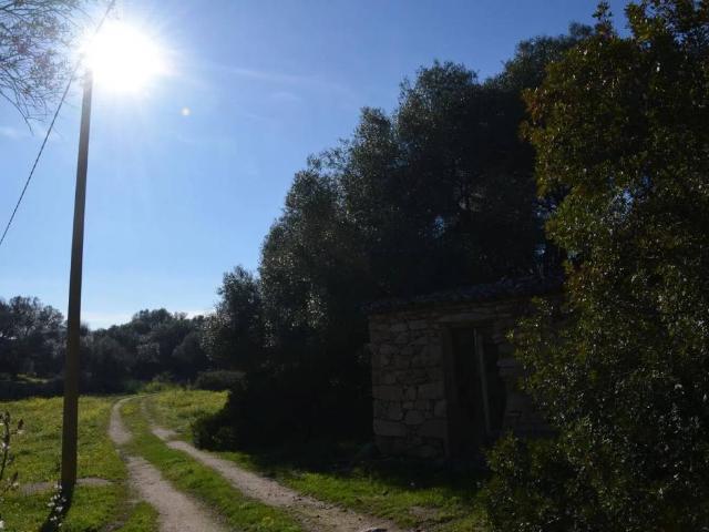 Terreno in vendita a Telti, Sardigna/Sardegna