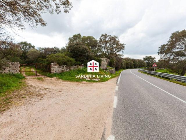 Terreno in vendita a Telti, Sardigna/Sardegna
