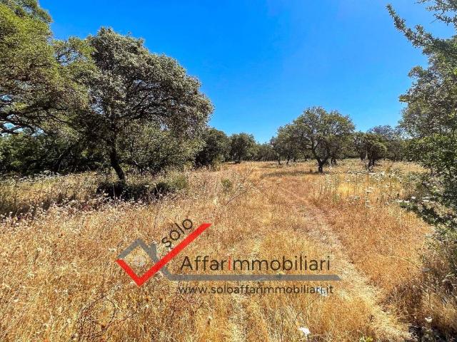Terreno in vendita a Telti, Sardigna/Sardegna