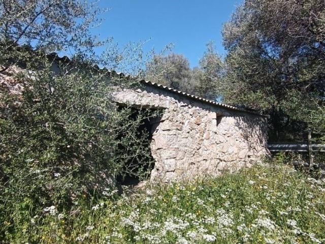 Terreno in vendita a Telti