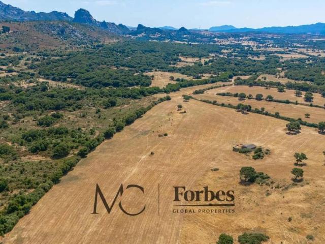 Terreno in vendita a Tempio Pausania, Sardigna/Sardegna