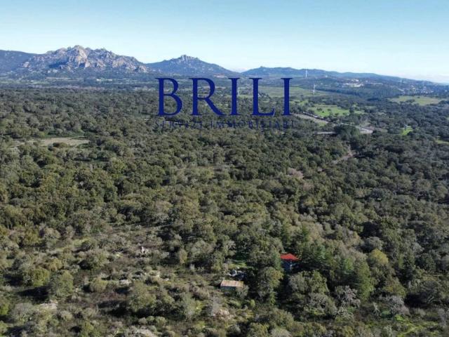 Terreno in vendita a Tempio Pausania, Sardigna/Sardegna