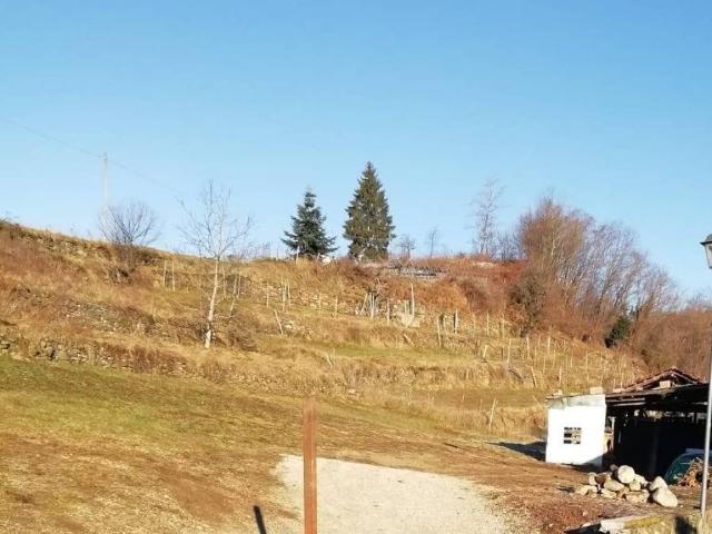 Terreno in vendita a Comunità Alta Valsugana e Bersntol, Tenna