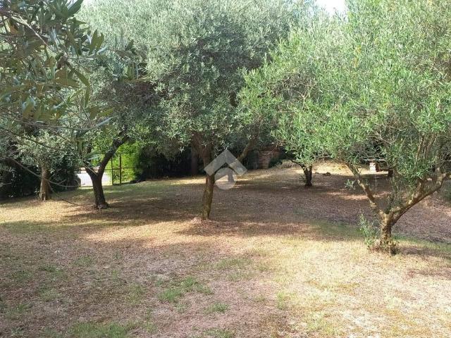 Terreno in vendita a Teolo