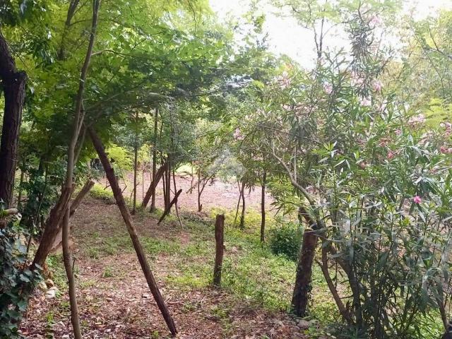 Terreno in vendita a Teolo, Tramonte