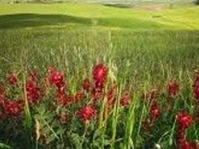 Terreno in vendita a San Nicolò a Tordino, Teramo