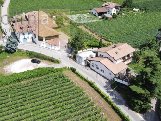Terreno in vendita a Überetsch-Unterland - Oltradige-Bassa Atesina, Terlano - Terlan