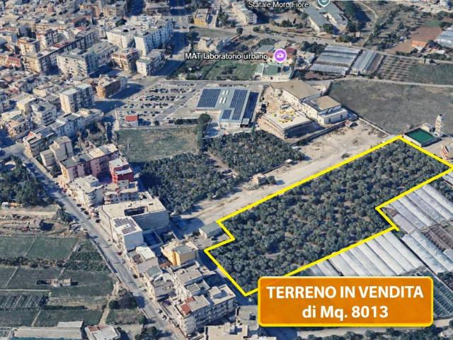 Terreno in vendita a Puglia, Bari