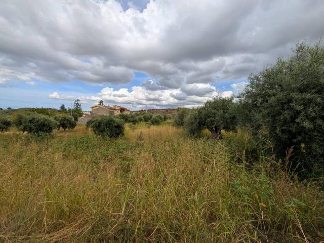 Terreno in vendita a Pizzicarì, Terme Vigliatore