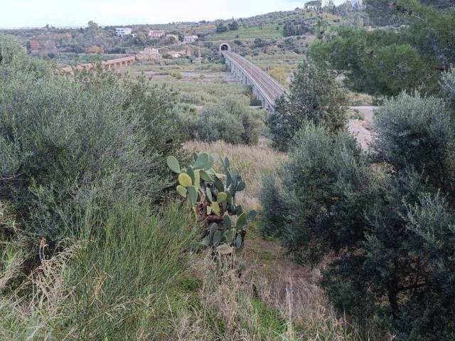 Terreno in vendita a Terme Vigliatore, Sicilia