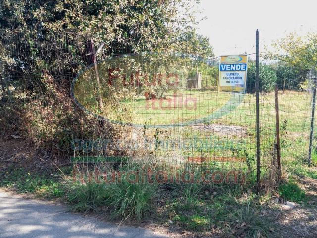 Terreno in vendita a Rodì Milici, Sicilia