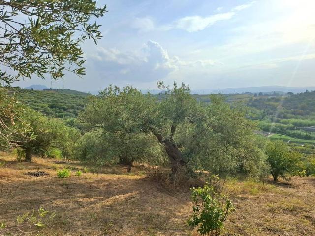 Terreno in vendita a Terme Vigliatore, Sicilia