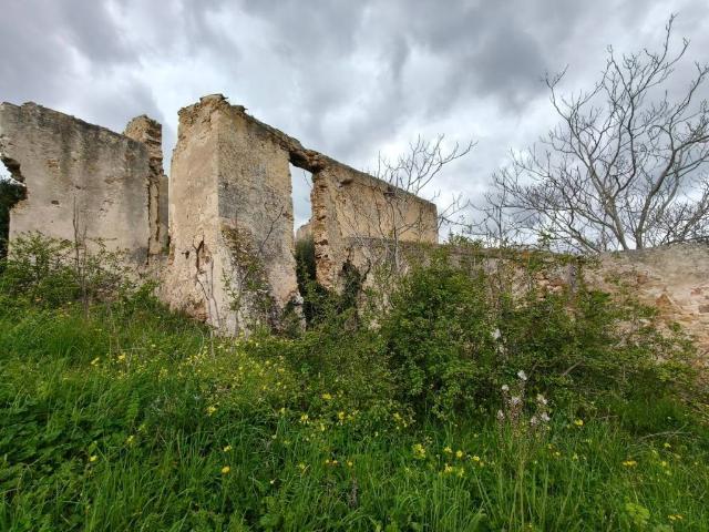 Terreno in vendita a Termini Imerese, Sicilia