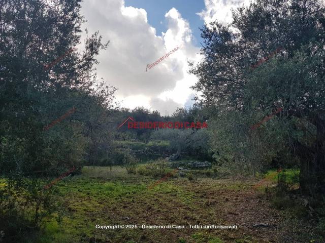 Terreno in vendita a Termini Imerese, Sicilia